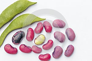 Close up of seeds of pea bean with different varieties.