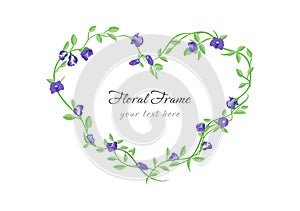 Butterfly pea flower heart frame isolated on transparency background