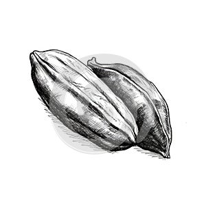 pea cocoa nut ai generated