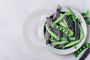 Pea. Greean and purple peas pods bowl on gray stone background, top view