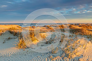 Pea Island National Wildlife Refuge North Carolina