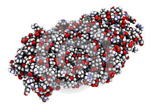 Pea lectin protein. Carbohydrate binding protein isolated from Pisum sativum