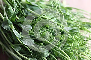 Pea micro green extreame close up view