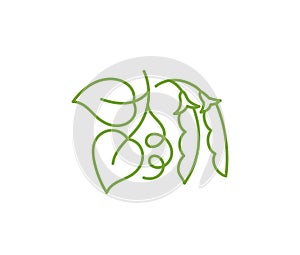 Pea plant icon. Flourish design element. Editable outline stroke.