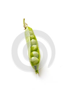 Pea pod