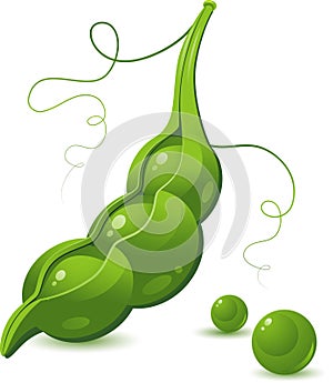 Pea Pod photo