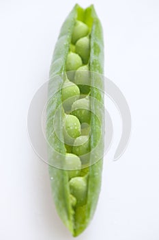 pea pod