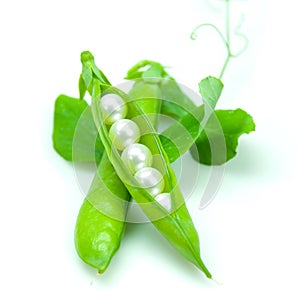 Pea pod containing pearls