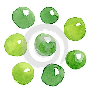 Pea pod. Hand drawn watercolor painting on white background, vector illustration.