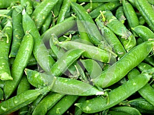 Pea pods
