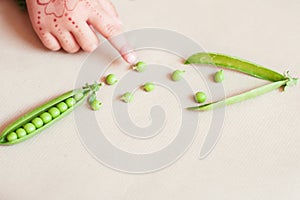 Pea pods, beans and child`s hand