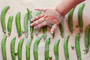 Pea pods, beans and child`s hand