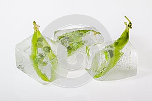 Pea pods frozen in ice cubes