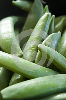 Pea Pods Macro