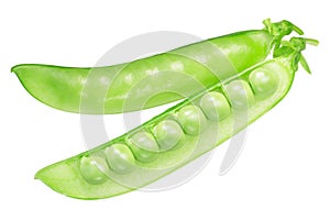 Pea pods pisum sativum, top