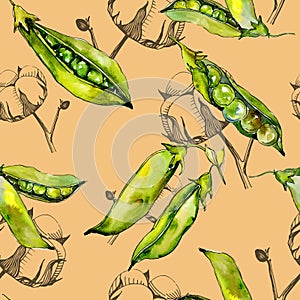 Hrášok divoký zelenina v akvarel štýl vzor 
