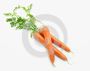 Raw carrots on a white background.