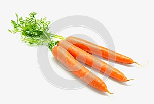 Raw carrots