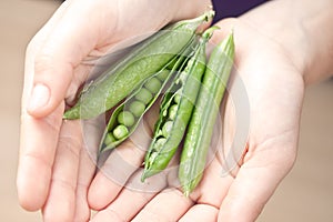 Pea vegetable fresh food in hands