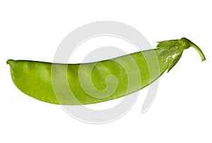 Pea vegetable isolated on white
