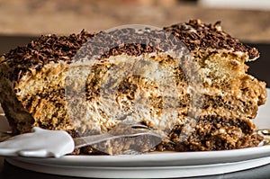 A peace of beautiful delicious homemade cake tiramisu