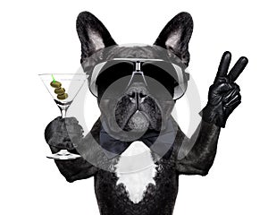 Peace cocktail dog