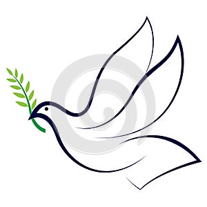 Peace dove photo