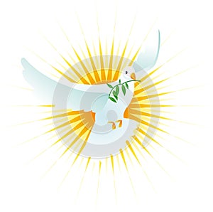 Peace dove