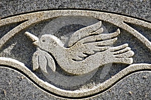 Peace Dove Engraving