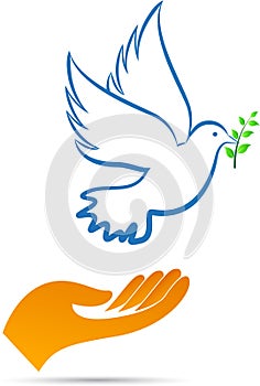 Peace dove with hand