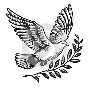 Peace Dove with Olive Branch engraving raster