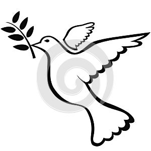 Peace dove symbol