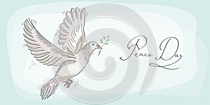 Peace dove symbol texture background EPS10 file. photo