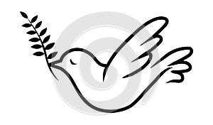 Peace dove vector illustration.Flying bird black line art.