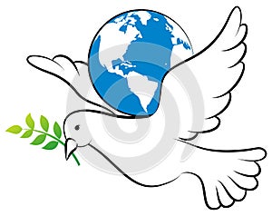 Peace dove photo