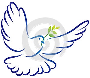 Peace dove photo