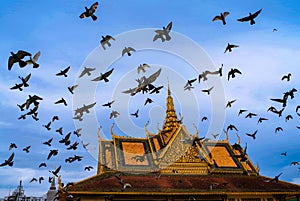 Peace Doves fly over the Royal Palace in Phnom Penh, Cambodia