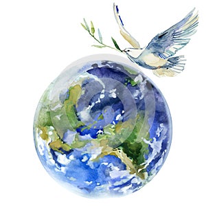 Pace sul La terra. volare bianco colomba un oliva ramo acquerello illustrazioni 