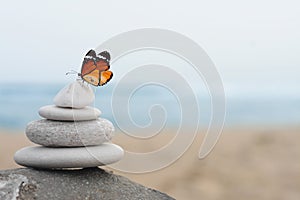 Peace and harmony. Stacked pebbles on sand and beautiful butterfly near sea, space for text