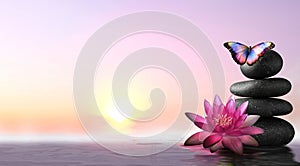 Peace and harmony. Stacked stones, lotus flower in water and beautiful butterfly. Banner design with space for text