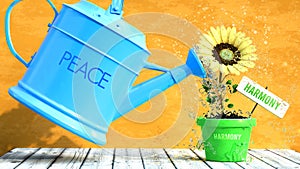 Peace that helps to grow harmony