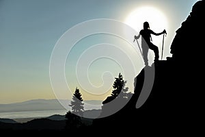 Inspired by nature & target success