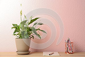 Peace lily, notebook and pens on table against color wall