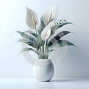 peace lily in vase on white background