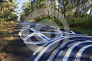 Peace Odyssey - peace signs grafitti on the road painted Seal Rocks