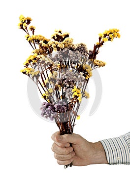 Peace offering - man with dried flowers over white