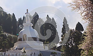 The Peace Pagoda from Darjelling captured on a sunny day