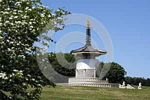 Peace pagoda milton keynes buckinghamshire uk photo
