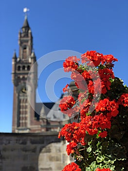 The Peace Palace