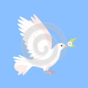 Peace pigeon flying with flower branch